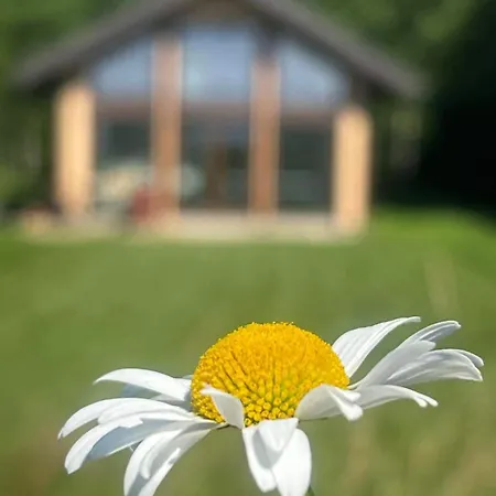 Saaremaa Majake Mere Aeaeres *