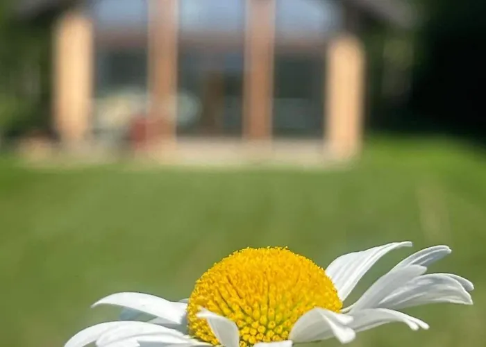 Saaremaa Majake Mere Aeaeres *